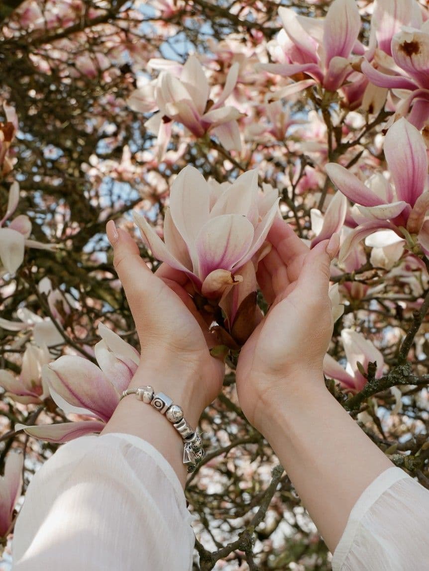 Colección Magnolia Joyas